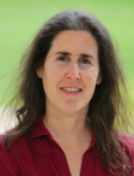 efrat-sheffer.jpg