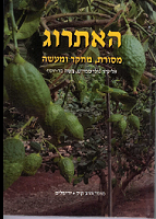 etrog