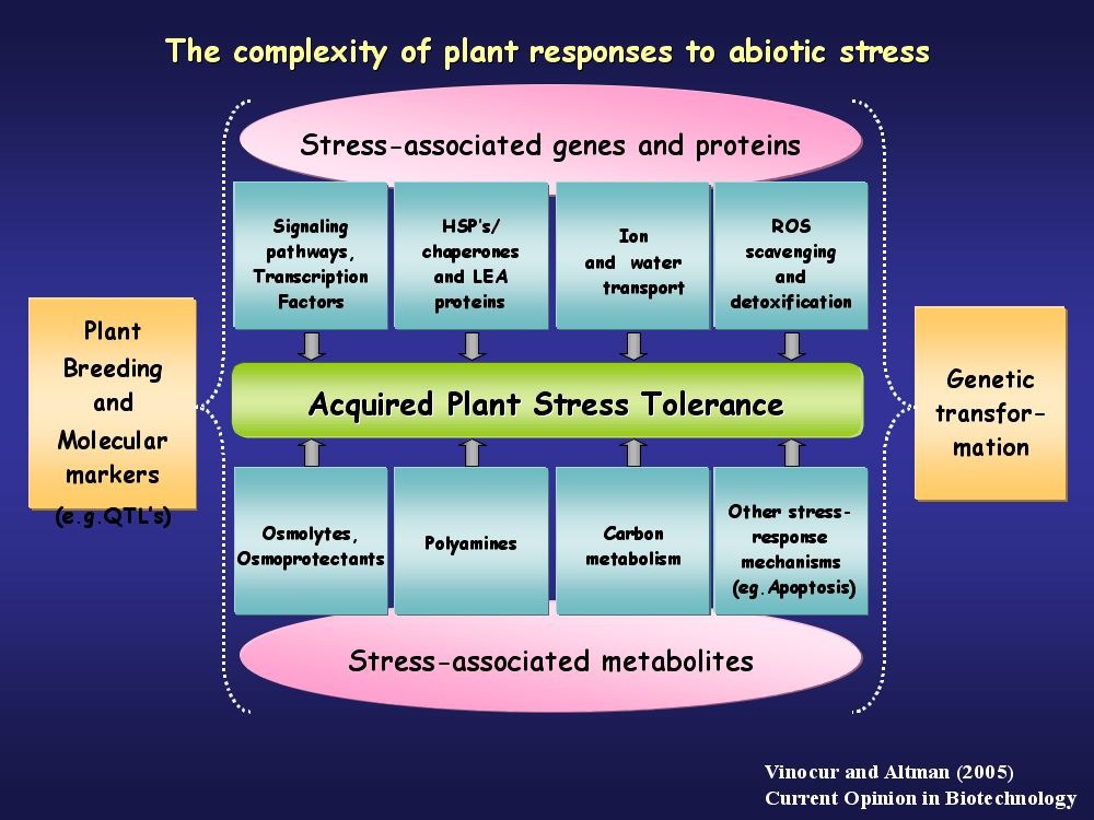complexity of plant responses to abiotic stress
