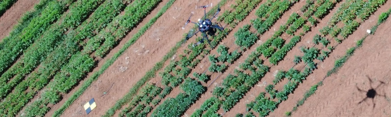 drone over field