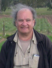kigel